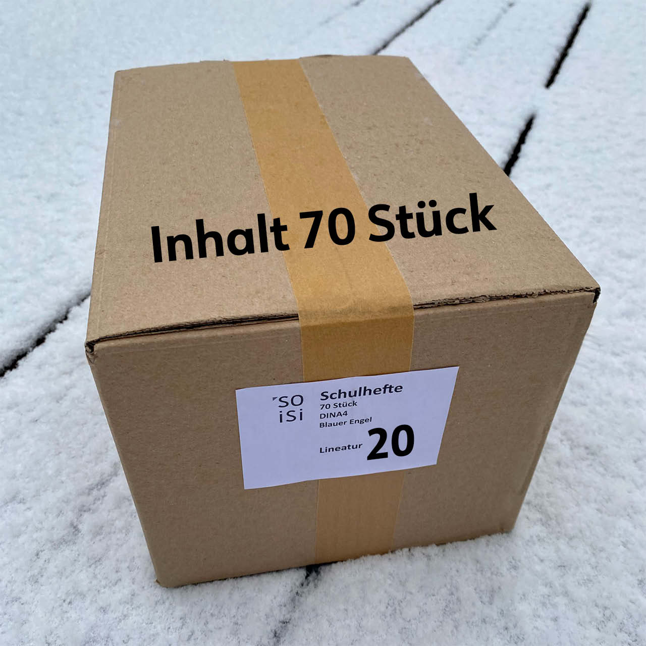 Lineatur 20 (blanko, ohne Lineatur) A4, Karton