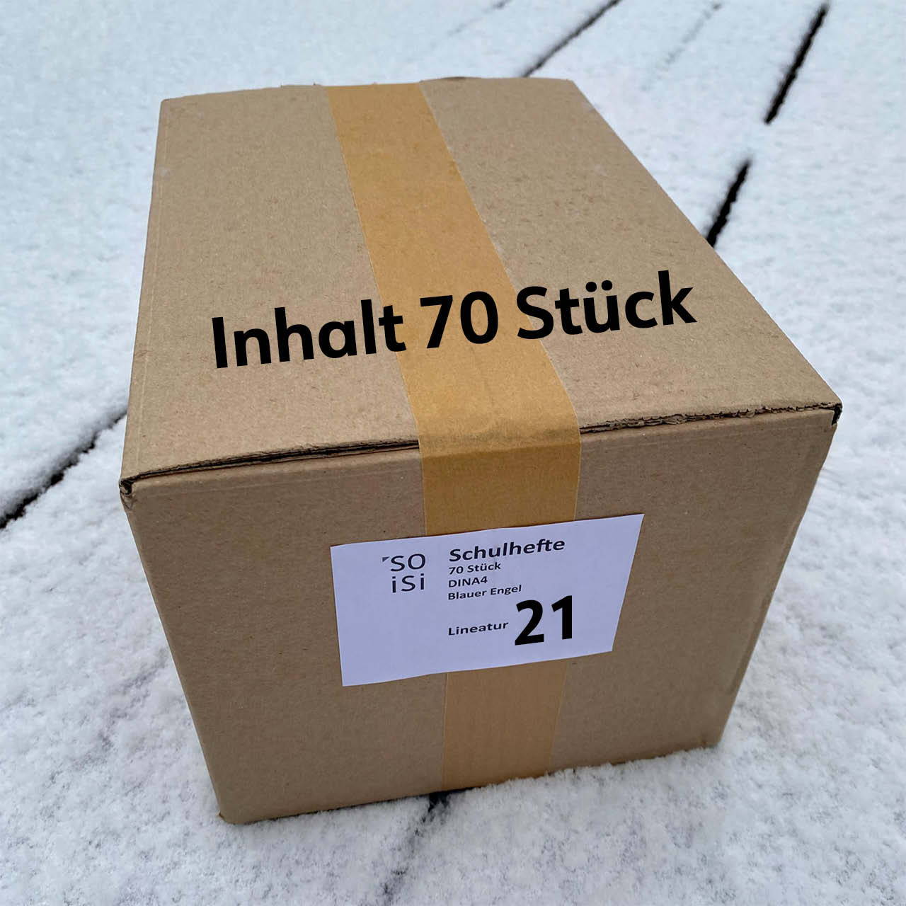 Lineatur 21 (liniert) A4, Karton